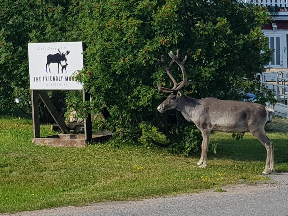 فندق The Friendly Moose Overtornea المظهر الخارجي الصورة